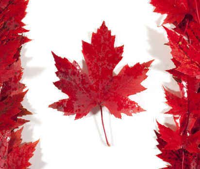 Gửi hàng đi Canada